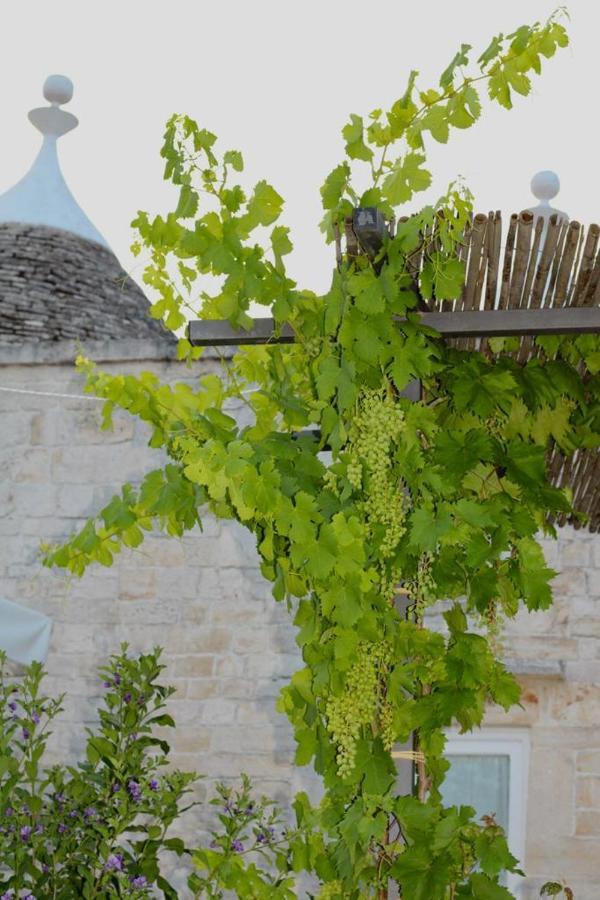 Tenuta Montanaro Locorotondo Exterior foto